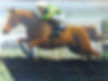 Candid Conversations: Jo Lodder's Journey from Jockey to Trailblazer! — photo